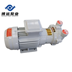 Pompe à vide à anneau liquide/eau horizontale BOYUAN 2BV2061, haute performance, économie d'énergie, personnalisable OEM, moteur triphasé - Product Image 3