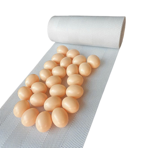 Cinta Transportadora de Huevos de Polietileno Tejido de 300 mm, Transportador de Huevos de Polipropileno para Jaulas de Gallinas Ponedoras, Granja Avícola - Product Image 1