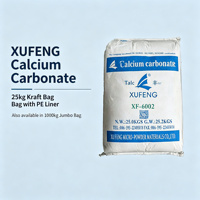 Carbonate de Calcium Industriel 700 Mesh, Pureté 97%, Poudre Blanche, Chargeur de Haute Performance pour le Compostage de PP Modifié (XF-6002)