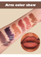 Crayon à lèvres dégradé conique OEM rouge à lèvres en velours brun noir mat imperméable non collant contour crayon à lèvres maquillage des lèvres