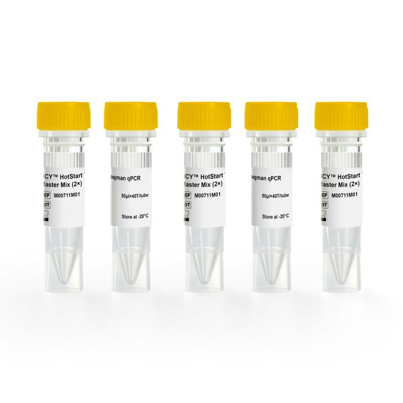 DNA PCR Taq PLus DNA POlymerase
