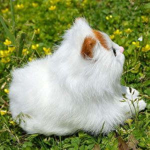 Realistico giocattolo di piccolo gatto realistico simpatico gattino peluche statuetta di animali pelosi in plastica per ornamenti da giardino per la casa del gattino - Product Image 5