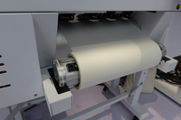 Imprimante DTF pour T-shirts avec 2 têtes XP600 de 30 cm, machine d'impression avec agitateur et four