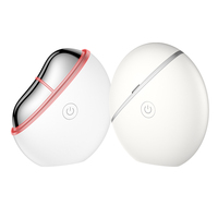 EMS Gua Sha Masseur Facial Outil Portable de Qualité SPA pour le Corps LED Vibration Chauffage Rajeunissement de la Peau