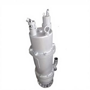 Bomba de Aguas Residuales Vertical a Prueba de Explosiones, Duradera, de Acero Inoxidable, con Flujo de 100-600 M/h y Altura de Elevación de 5-110 m, 380V-660V - Product Image 1