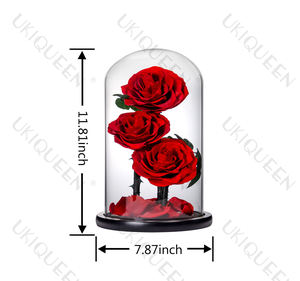 OFERTA DE <span class=keywords><strong>PRECIO</strong></span> ESPECIAL Rosa natural Regalo del Día de la madre Decoración Everlasting Forever Eternal Rose Flor preservada en cúpula de vidrio Led - Product Image 2