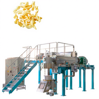 Nouvelle ligne de production de machine d'extrusion automatique à double vis en acier inoxydable pour les granulés de pommes de terre et de maïs