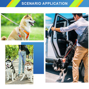 <span class=keywords><strong>Meilleure</strong></span> vente laisse <span class=keywords><strong>pour</strong></span> <span class=keywords><strong>chien</strong></span> de compagnie de grande taille en nylon, coton et polyester de couleur vive, avec logo imprimé personnalisé - Product Image 6