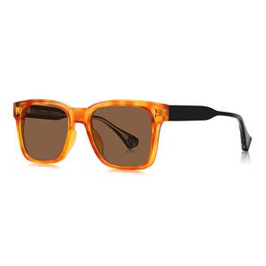 Lunettes de soleil unisexes transfrontalières en acétate, monture carrée, verres polarisés TAC UV400, monture TR90 pour la protection solaire, les voyages et la conduite - Product Image 2