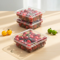 Boîte à fruits en plastique PET recyclable sur mesure, à charnière, pour myrtilles et cerises, 125-500g, emballage en blister, boîte à clapet