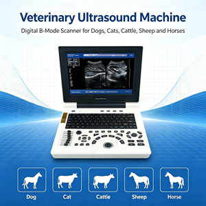 Appareil d'échographie portable électrique pour animaux, abdomen et gynécologie, avec écran HD de 10 pouces, scanner d'échographie vétérinaire - Product Image 3