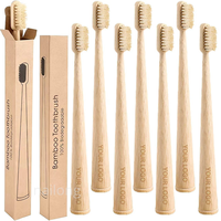 Brosse à dents de voyage pour adulte avec logo personnalisé, poils écologiques en crin de sanglier, manche rigide et boîte individuelle sur mesure