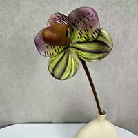 Fleur artificielle réaliste en EVA de haute qualité, modèle Paphiopedilum, pour la décoration florale de salles d'exposition et la décoration intérieure d'orchidées