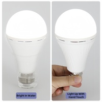 Vente en gros de lampes de secours LEDORA pour le camping en plein air, la maison et les sorties d'urgence, avec batterie au lithium, variateur d'intensité, ampoule LED 12W, 3 heures d'autonomie en cas d'urgence