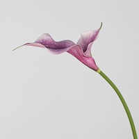 Kunstzijde Calla Lelie met dubbele bloemblaadjes, Boheemse stijl, bruiloft, huisdecoratie, handboeketarrangement