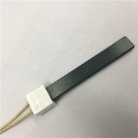 Allumeur en céramique de nitrure de silicium 1000W Si3N4 pour poêle à granulés