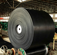 Banda Transportadora Industrial Personalizada de Alta Resistencia Thinkroll - Modelos de Caucho Duradero EP100-EP400 de 400-1800 mm de Ancho, Impermeable y Resistente al Aceite