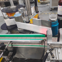 Machine automatique de remplissage et de capsulage de bouteille d'eau en PET de petit sirop de monopalme