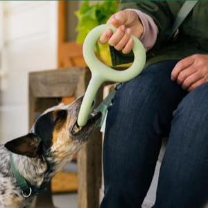Anello di traino resistente ai morsi classico classico di successo in gomma naturale, giocattolo da masticare per cani, giocattolo interattivo - Product Image 4