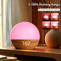 Lever du soleil Réveil Lumière Réveil Dawn Simulation Lampe LED Lever du soleil Horloge