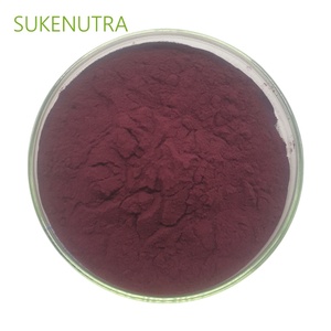 Blueberry chiết xuất bột 25% anthocyanins <span class=keywords><strong>GMP</strong></span> chứng nhận cho sức khỏe mắt và chất chống oxy hóa bổ sung - Product Image 5