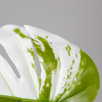 Feuille de Monstera artificielle de 18 cm, couleur personnalisée, très tendance, pour décoration murale