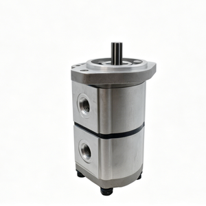 Qualité OEM 9M252IGA4545 Vivoil Pompes Multiples Détails Clés de ce Composant Incluent le Fabricant Vivoil Oleodinamica Catégorie I - Product Image 3