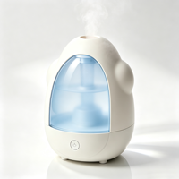 Cetakan Injeksi Kustom untuk Casing Luar Humidifier Rumah Tangga, OEM ODM Humidifier Plastik
