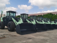 Caricatore a Ruote Completamente Elettrico da 5,5 Tonnellate, Emissioni Zero, Sostituzione Diesel, Prestazioni Pesanti, Batteria LFP
