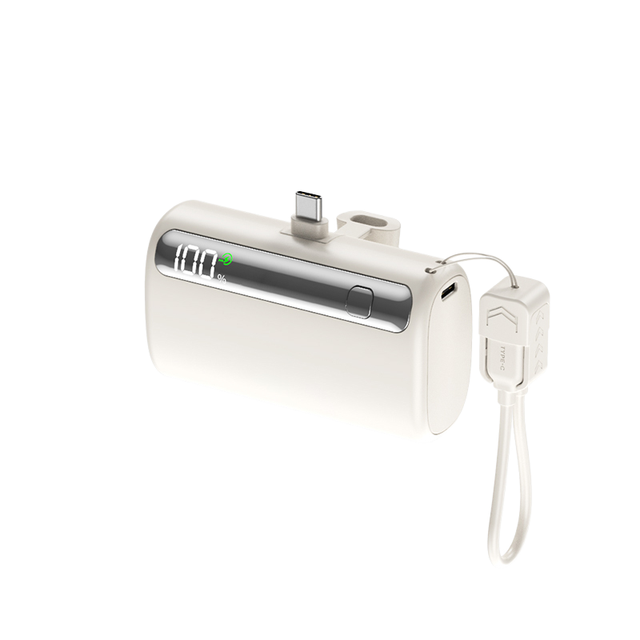 Wholesale Small 10000mAh Power Bank with 22.5WPD Fast Charging USB-C Portable Battery Pack Built-in Cable Type-C Input Interface