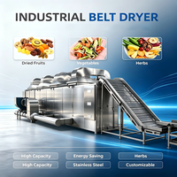 Automatische turnkey hetelucht droogmachine met stoom, elektrische en gasverwarming voor het drogen van fruit, groenten, uien, knoflook en peper.