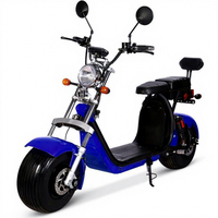 Trottinette Électrique Haute Puissance en Gros Vente Directe Sans Balais 36V 1500W Lumière LED Maximale