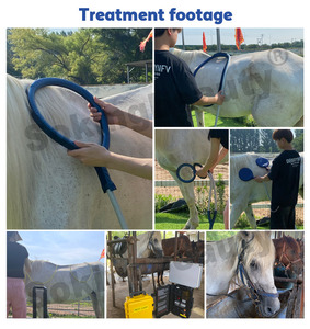 Sistema de Manta PEMF Portátil para Caballos, Ligero (5.5 kg), Equipo de Soporte para la Recuperación, Múltiples Aplicadores para Uso Equino - Product Image 6