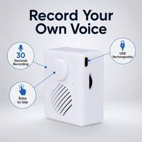 Module sonore USB rechargeable à sortie stable pour jouets en peluche, dispositif d'enregistrement vocal, unité audio pour animaux en peluche