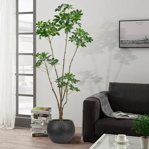 El Fabricante Tiene un Fuerte Impulso de Ventas para los Modelos de Exhibición de Alta Gama para Interiores, Planta Artificial Schefflera - Product Image 3