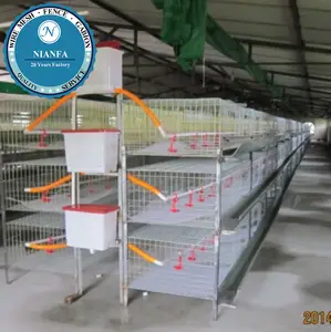 Cage de Type 3 niveaux pour bébés poussins et poussins de volaille pour ferme de volaille africaine