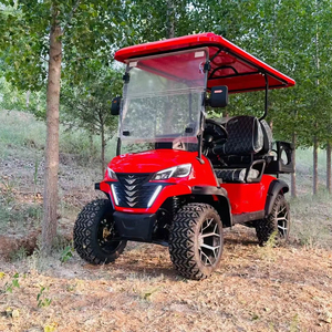Meilleure vente de voiturette de golf électrique 4 places à l'aéroport <span class=keywords><strong>Meilleur</strong></span> prix Blue Lifted Golf Buggy - Product Image 1