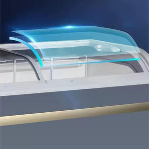 Réfrigérateur vitrine <span class=keywords><strong>combiné</strong></span> commercial pour la viande, le poisson, la crème glacée, <span class=keywords><strong>congélateur</strong></span> à coffre profond - Product Image 4