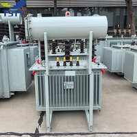TSTY Dış Mekan 3 Fazlı Elektrik Güç Trafosu 11kv 33kv 500kva 1000kva 2000kva 3000kva 4000kva Yağlı Tip Trafo