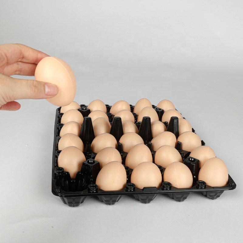 Packaging Blister Plastic 30 Cells Clear