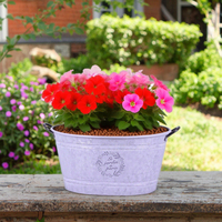 Pot de fleurs ovale en fer forgé thermolaqué style campagne française, avec poignée, pour intérieur et extérieur, décoration rustique de ferme pour la maison