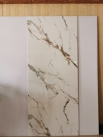 Carrera Marbre 1/1.2 Mètre Largeur PVC Salle de bain Douche Panneau mural Meilleure qualité
