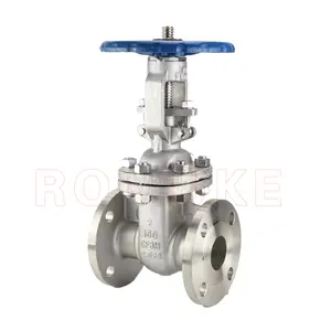 Z41W-150LB API Standard Stainless Steel CF8 CF3 CF8M CF3M Rising Stem Wedge Flange Manual Gate Valve