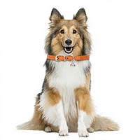 Collier pour chien et chat en cuir PU avec clochette, taille réglable, utilisable toute l'année, vente en gros