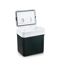 Mini-réfrigérateur portable 24L pour voiture et maison, glacière et chauffe-plat, alimentation DC 12V et prise AC