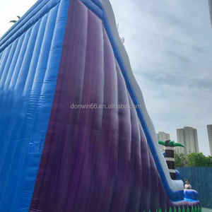 Tobogán Acuático Inflable Comercial Donwin, <span class=keywords><strong>Castillo</strong></span> Inflable para Niños y Adultos, Material de PVC, Garantía de 3 Años, Capacidad para 99 Personas - Product Image 4