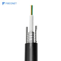 Kabel Serat Optik Luar Ruangan Non-Logam FRP All-Dielectric GYFXTY G.652D Central Loose Tube Aerial Duct 2-24 Core