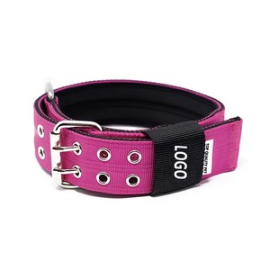 Proveedor superventas hebilla de acero inoxidable caucho de cloropreno cojín interior ajustable nylon táctico <span class=keywords><strong>collar</strong></span> de perro mascota - Product Image 2
