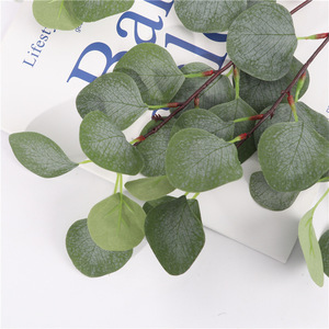 Bouquet de feuilles d'eucalyptus Tainen 30cm-100cm, fleurs artificielles en soie pour mariage et décoration intérieure - Product Image 4