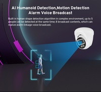 Human Detection IP Network Fixed Turret Camera Full Color Night Vision Outdoor Eyeball Security Camera